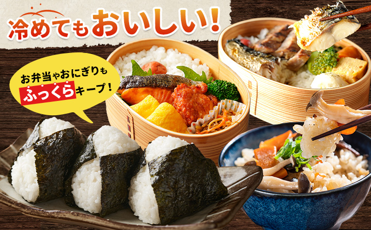 【3ヶ月定期便】令和6年産 米 千葉 ふるさと米 10kg《10月頃出荷開始》千葉県 勝浦市 米 白米 精米 国産 お米 おこめ お弁当 おにぎり こしひかり