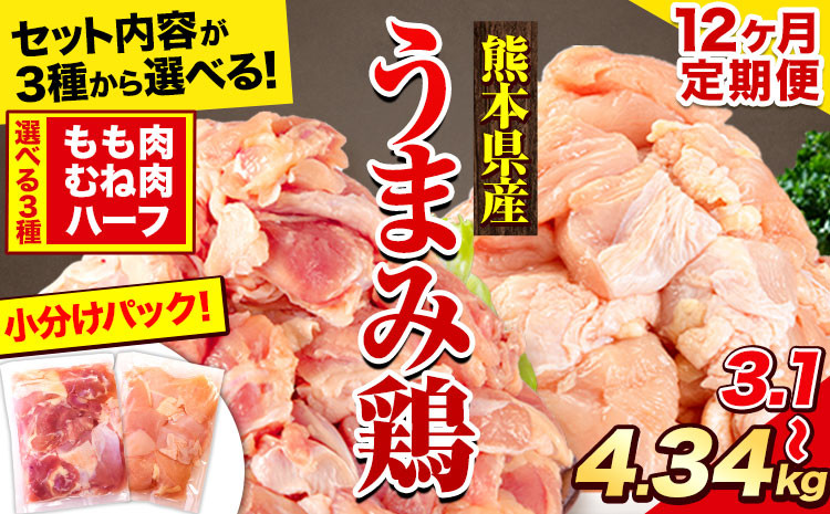 
【12ヶ月定期便】鶏肉 選べる もも肉 or むね肉 うまみ鶏 大容量 最大 4kg 以上 小分け 鶏もも肉 鶏むね肉 もも モモ むね ムネ 冷凍 定期便 若どり 個包装 熊本県産《お申込み月の翌月から出荷開始》
