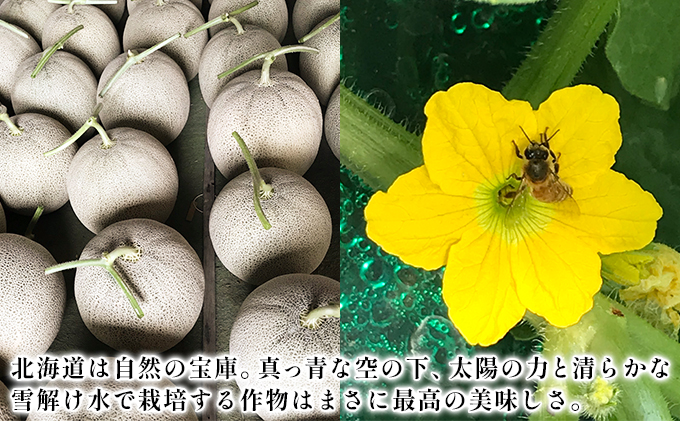 【2026年6月下旬～発送】特選 ふらの メロン 4～5玉 計約8kg 