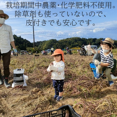 【フードロス対応・規格外】有機サツマイモ　訳あり　有機JAS　期間限定(12～3月発送)【配送不可地域：離島・北海道・沖縄県】