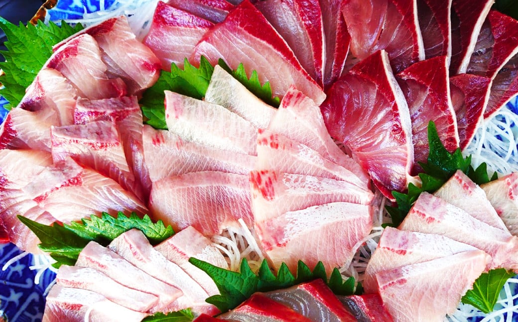 長崎近海 活き〆 天然 寒ぶり 6kg台 (6.2kg〜6.8kg) 丸ごと1本！！ ／ 魚 海産物 魚介 鮮魚 海鮮 ブリ ぶり 鰤 天然 ブリしゃぶ 刺身 大将農園 長崎県 長崎市 【2025年9