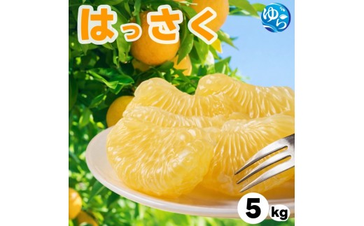 
                  和歌山県産 はっさく 5kg  サイズおまかせ / 八朔 ハッサク 柑橘 果物 和歌山 ※2027年2月中旬～3月中旬に順次発送予定 ※北海道・沖縄・離島配送不可 【eiw021-r-5】
                
