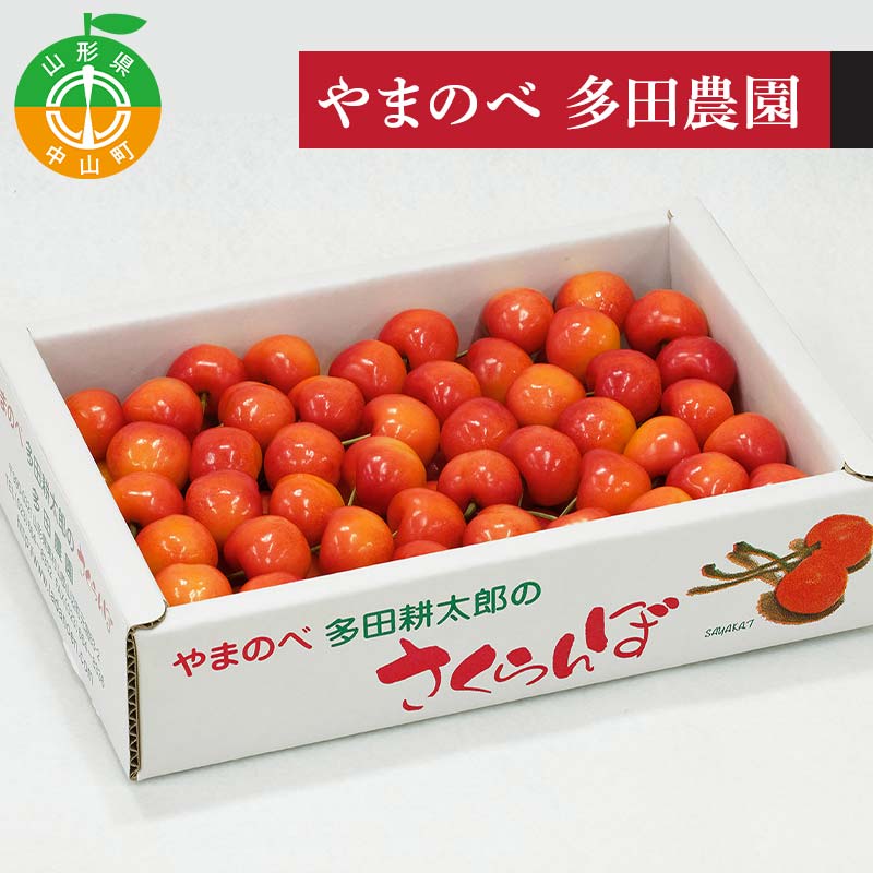 【ふるさと納税】 《先行予約》2026年 山形県産 レーニア バラ詰700g やまのべ多田耕太郎のさくらんぼ F4A-0998