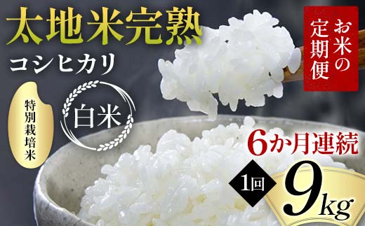 【先行予約】お米の定期便 特別栽培米 太地米完熟 【こしひかり】 白米9kg×6か月連続 ブランド米 お米 精米 白米 人気 F7X-0709