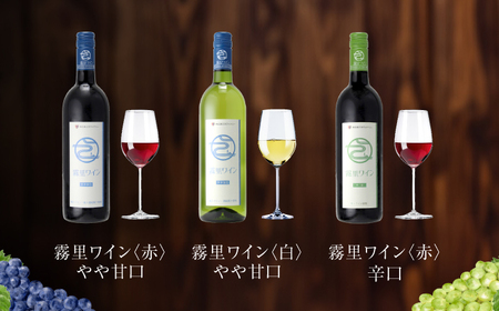 広島三次ワイナリー 3ブランド ワイン 9本セット 受賞 飲み比べ ワインセット ギフト 三次市 / 広島三次ワイナリー[APAZ041]