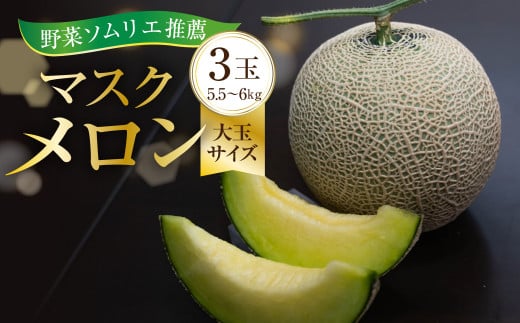 2027年先行予約 数量限定 野菜ソムリエ推薦渥美半島伊良湖潮風育ちマスクメロン3玉大玉サイズ(5.5～6キロ)カラーギフト箱入り 2027年7月上旬～8月中旬　発送 田原市 伊良湖産 ギフト プレゼ