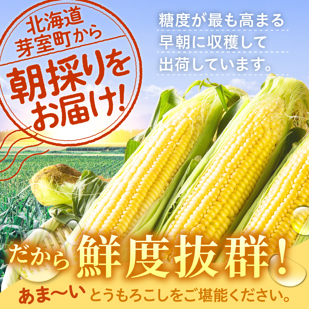 【2026年7月下旬～8月中旬頃配送】北海道十勝芽室町 とうもろこし スイートコーン10本 イエロー種 me002-004c-26／人気 キャンプ飯 アウトドア BBQ トウモロコシ とうきび コーン