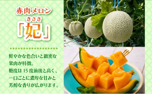 【先行予約】特選大玉赤肉メロン【2玉入り】【令和8年7月末発送】 K001