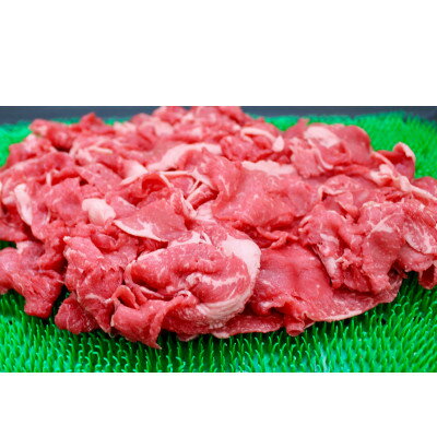 【ふるさと納税】飛騨牛切り落とし計1kg【配送不可地域：離島】【1635750】