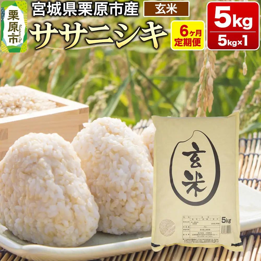 《定期便6ヶ月》【令和7年産・玄米】宮城県産 ササニシキ 毎月5kg (5kg×1袋)×6ヶ月