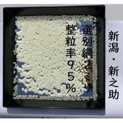 ふるさと納税 阿賀野市 【令和8年産新米】【真空パック】整粒率95%の1等米 阿賀野市産「新之助」無洗米 5kg |  | 01