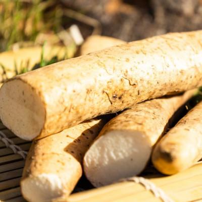 ふるさと納税 松崎町 婆娑羅農産の自然薯カット 2パック |  | 02