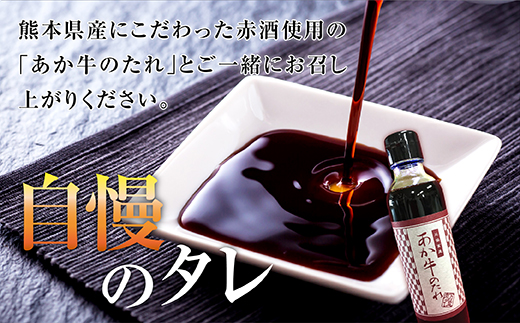 あか牛 100％ ハンバーグ 120g×6個 あか牛のたれ200ml セット 【 ハンバーグ あか牛 牛肉 肉 熊本産 国産牛 和牛 旨味 うま味 ぎっしり 熊本県 多良木町 牛肉 タレ付 】046-