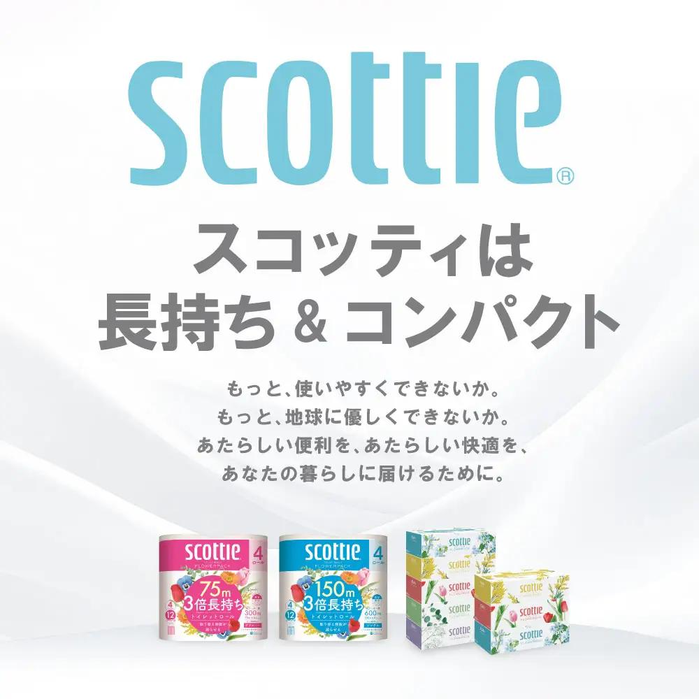 【定期便2回】【6ヶ月に1回お届け】【スコッティ】 トイレットロール ダブル フラワーパック 3倍長持ち 48ロール 合計96ロール 香りつき 日用品 生活必需品