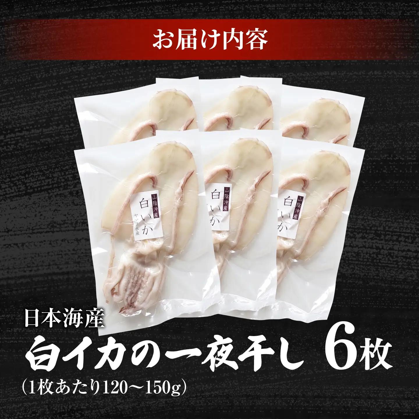 【1週間以内発送】白イカ 一夜干し 6枚セット 島根県松江市/有限会社ヤマヲ水産 ｜冷凍 おつまみ 国産 海鮮 イカ いか 干物[ALDB027]