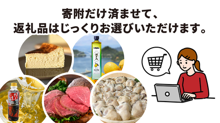 あとからセレクト【ふるさとギフト】寄附500,000円　広島県呉市