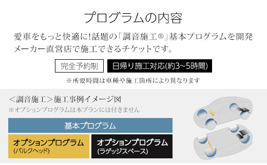 フォーカル プラグ＆プレイ本店　走行音静粛化プログラム「調音施工」基本＋オプションプログラム1台分 ふるさと納税 車 自動車 カーオーディオ チケット 調音施工 プログラム 木更津 千葉県 送料無料 
