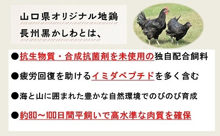 (1098)鶏肉 小分け 地鶏 国産 冷凍 希少 合計1.6kg 長州黒かしわ むね肉 切身 パック 長門ゆずきち付き 深川養鶏  