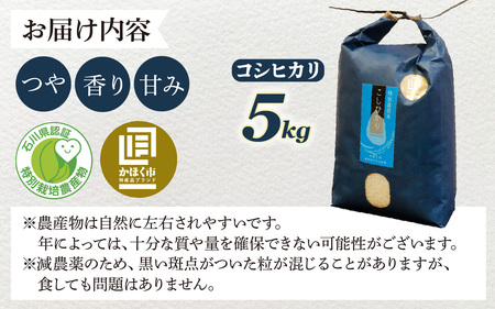 【令和7年産】こしひかり 5kg 【2027年3月発送】/ コシヒカリ お米