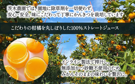茨木農園の 柑橘100％ストレートジュース 2本セット （夢みかん） 　ジュース みかん 柑橘 ストレートジュース