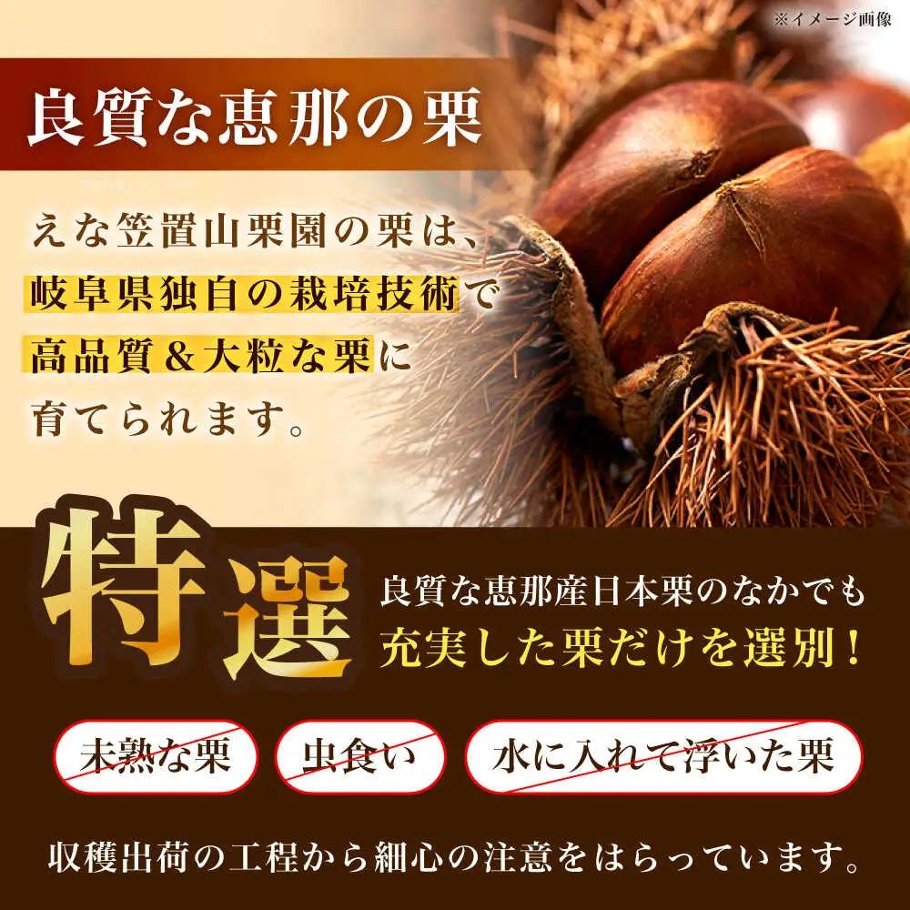 【先行予約】冷凍むき栗「日本栗」 計500g（250g×2P） / 恵那市 / えな笠置山栗園 [AUAV005]
