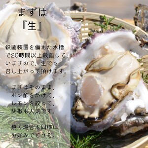 訳あり 岩がき 小サイズ 15個入 3.5kg前後 生食用 ： 京都府 舞鶴産 牡蠣【～8月中頃まで】 殻付き牡蠣 岩牡蠣 牡蠣 訳あり牡蠣