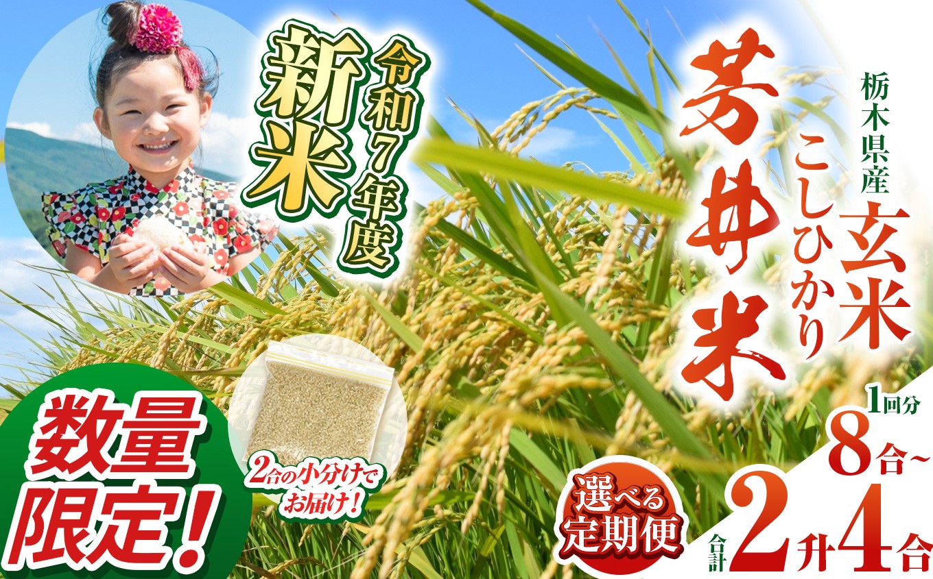 
            【数量限定】【令和7年度新米】新米那珂川町産芳井米 玄米 330g（2合分）×4、8、12  定期便あり(1,2,3回) | こしひかり 新米 玄米 米 ごはん  ふっくら もちもち  ふるさと納税 那珂川町 栃木県
          