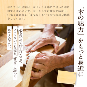 S169-004_イチョウのまな板(穴あきタイプ四角形)Mサイズ