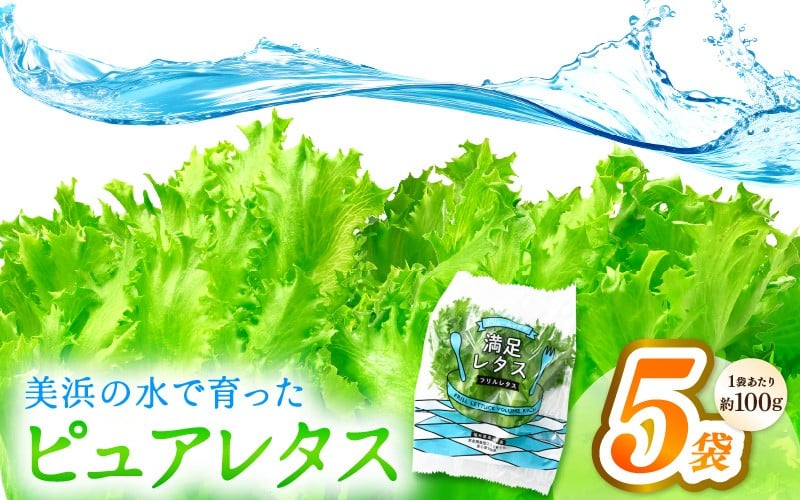 
            美浜の水で育ったピュアレタス　フリルレタス 5袋【栽培期間中 農薬不使用 野菜 生野菜 レタス グリーンリーフ サラダ サンドイッチ お弁当 水耕栽培 洗わず食べられる 時短 付け合わせ ダイエット ヘルシー】[m40-a027]
          