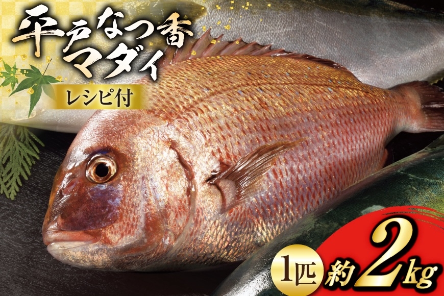 
            タイ 刺身 平戸なつ香 鯛 丸々 1匹 約2kg [（株）坂野水産 長崎県 平戸市 hr42bgy420108] 魚介 さかな 刺身用 さしみ 冷蔵 おかず フルーツ魚  夏香 鮮魚 海鮮 海鮮鍋 海鮮丼 下処理済 レシピ付き 鍋 tai 煮付け あら炊き
          