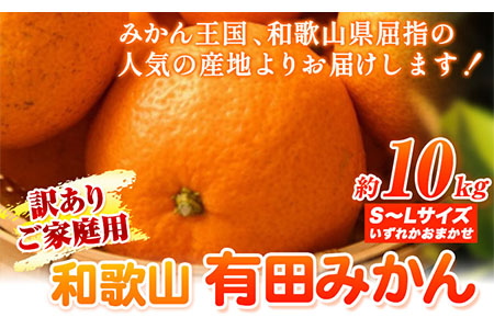 [ 訳あり ] 和歌山 有田 みかん 約 10kg (S～Lサイズいずれかお届け) 厳選館《11月上旬-1月末頃出荷》和歌山県 日高川町 有田みかん みかん 蜜柑 ミカン 柑橘 送料無料