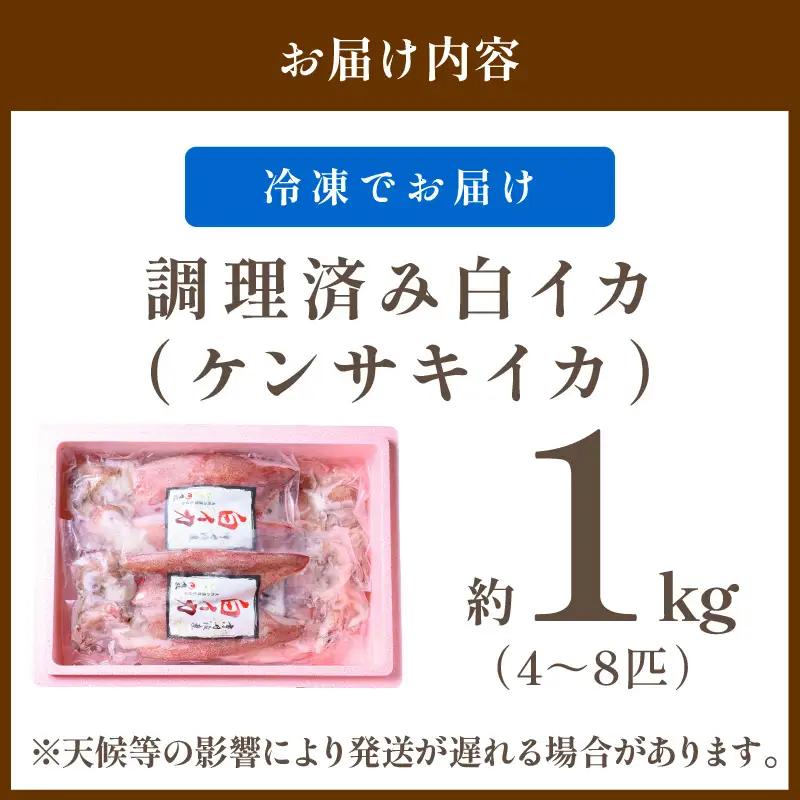 白イカケンサキ正味1kg しろいか