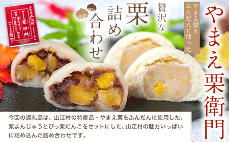 熊本県山江村産 やまえ栗衛門 栗まんじゅう・びっ栗だんご詰め合わせ 株式会社 やまえ《60日以内に順次出荷(土日祝除く)》