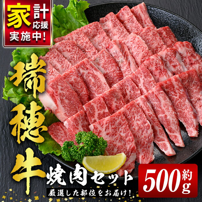 【ふるさと納税】 瑞穂牛焼肉セット 約500g 牛肉 やきにく 国産 牛肉 バラ 肩ロース 肩 肩バラ トモサンカク イチボ ブランド牛 茨城県 お中元 焼肉の日 敬老の日 瑞穂牛 焼肉 詰め合わせ 食べ比べ 国産 BBQ 【（株）フロンティアロード】【ho0858-1】