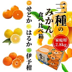 ＜2026年2月頃発送＞ 【先行予約】 【三種のみかん食べ比べ箱】せとか・はるか・宮内伊予柑 （家庭用）約2.8kg　食べくらべ 愛媛 みかん 詰め合わせ セット 先行予約 蜜柑 柑橘 果物 くだもの フルーツ お取り寄せ グルメ 期間限定 数量限定 人気 おすすめ 愛媛県 松山市 【PT0211】