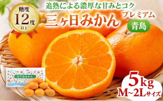 
                  5kg 三ヶ日みかん プレミアム 青島 蜜柑 ミカン 果物 フルーツ 浜松
                