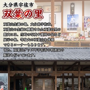 ＜訳あり・簡易包装＞双葉山カレー(計1.8kg・180g×10P) 鶏肉 鳥肉 とりにく とり肉 お肉 カレー チキンカレー スパイスカレー レトルト 簡単調理 常温 保存【115601500】【SF