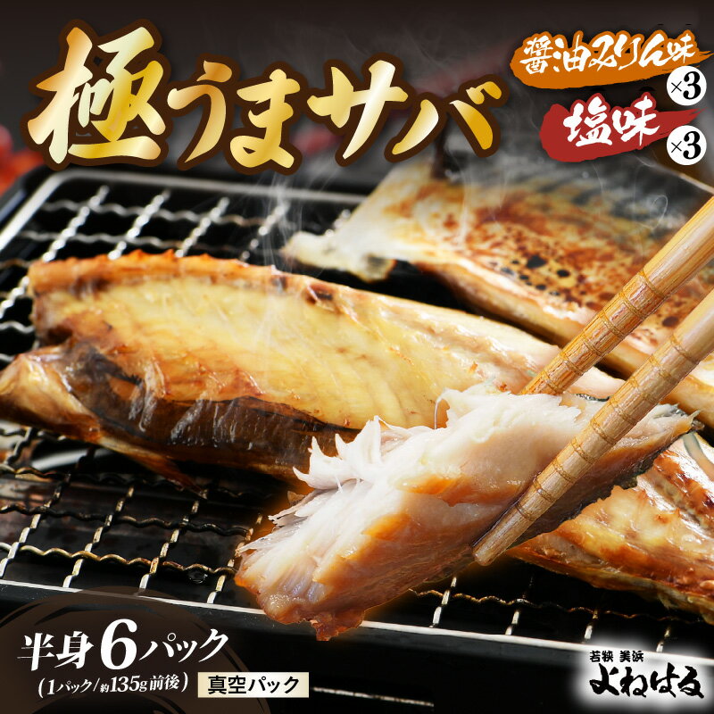 【ふるさと納税】干物 鯖一夜干し 極うまサバ 半身6パック （塩味1枚×3パック 醤油みりん味1枚×3パック）【 鯖 さば 日用 使い ひもの 冷凍 小分け 個包装 真空パック ご飯のお供 酒の肴 食べ比べ セット お弁当 惣菜 母の日 ギフト 】 お買い物マラソン 買い回り