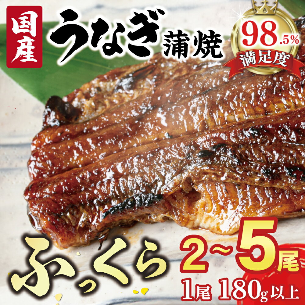 【ふるさと納税】【PRキャンペーン対象】国産うなぎ　備長炭地焼き蒲焼き180g以上 タレ付き 2尾 / 3尾 / 5尾 選べる 国産 鰻 ウナギ 一休庵（炭櫓） 小分け 真空パック 冷凍