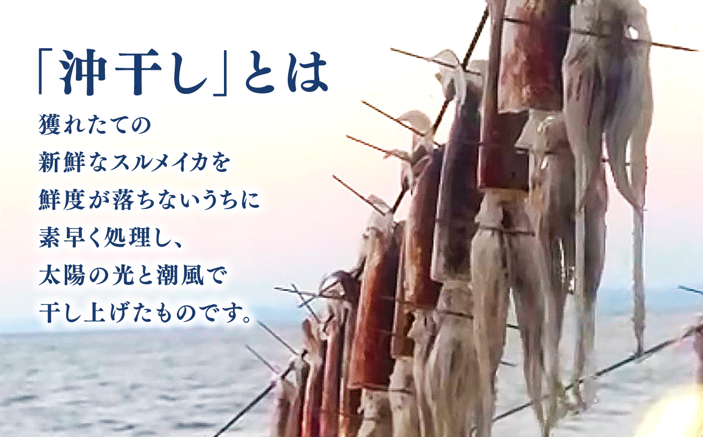 【先行予約】 高知県産 スルメイカ 沖干し 3枚 〈2027年1月上旬から発送〉 / するめいか イカ いか 沖干し スルメ するめ 海鮮 乾燥 おつまみ おかず おやつ 冷凍 高知 【ワクトフーズ】