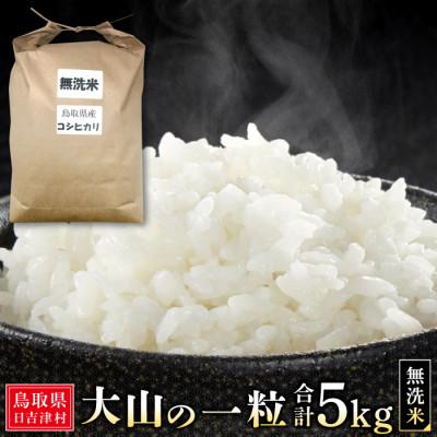 ふるさと納税 日吉津村 大山の一粒　無洗米 5kg