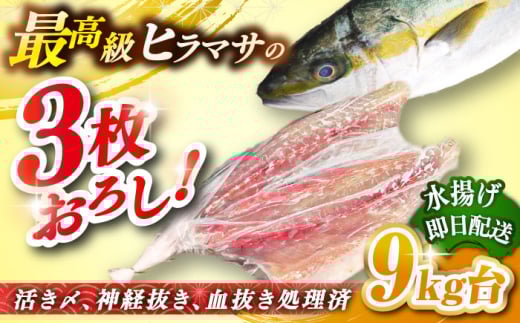 壱岐島産天然ヒラマサ（９キロ台・三枚おろし） [JBS082]