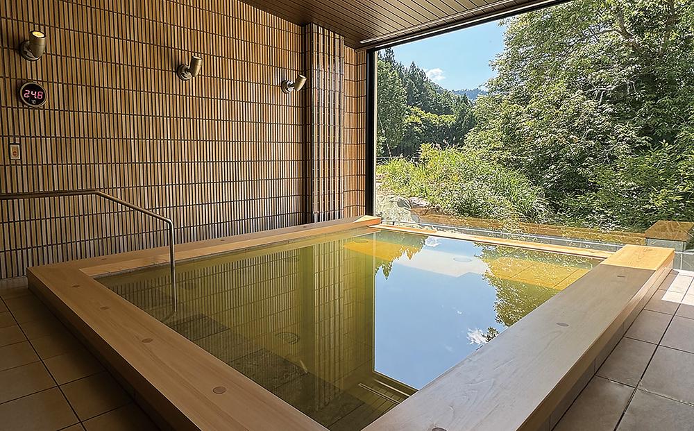 歴史ロマンの湯 しみず温泉 大人 入館券 11回分 入浴チケット 温泉利用券 観光 日帰り M005_イメージ4
