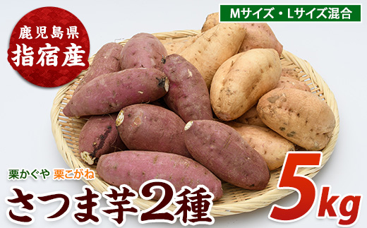 【2026年11月上旬以降～順次発送】さつまいも2種(栗かぐや・栗こがね)詰合せ約5kg(らくと農園/IB084-002)さつまいも おやつ さつま芋 焼芋 やきいも 焼きいも スイーツ