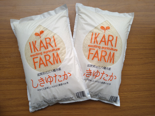 
            【6年産】すっごいもちもち 「しきゆたか」 白米【10㎏(5㎏×2袋)】【C004U】
          