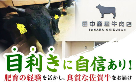 【全6回定期便】佐賀牛 サーロインスライス500g HBH019 サーロイン 国産　和牛 佐賀牛 定期便 スライス