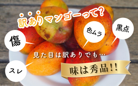 ハナトフルーツ 沖縄県産 訳ありマンゴー２ｋｇ 【2025年発送】
