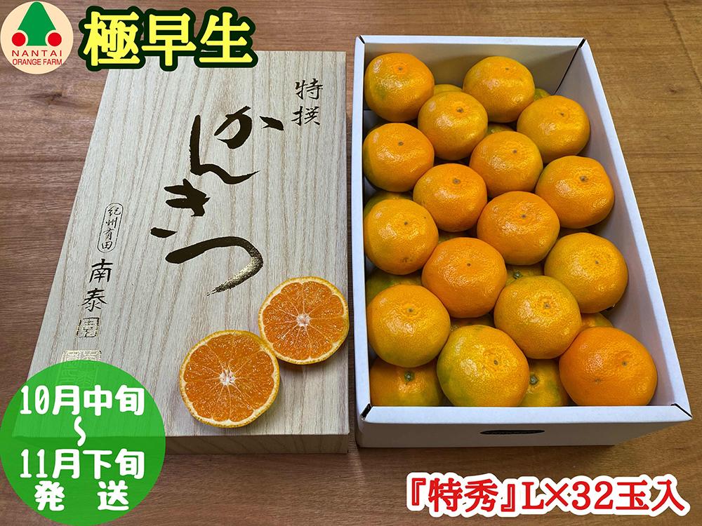 極早生 有田 みかん 化粧箱 特秀 L サイズ 32玉入 南泰園 和歌山 有田みかん