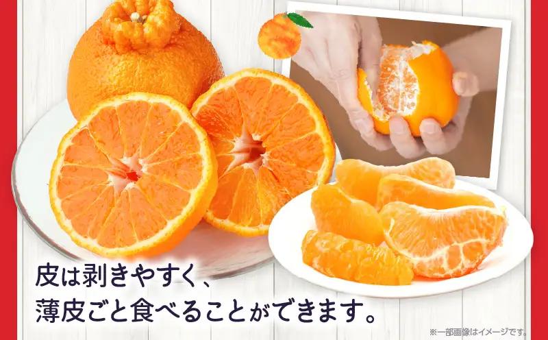 【先行予約】ハウスデコポン約5kg（12－24玉）【香川県共通返礼品】 | デコポン 甘い 酸味 柑橘 柑橘系 果物 フルーツ 青果 デザート グルメ おすすめ 贈答 贈り物 贈答用 ギフト プレゼン