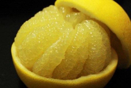 龍馬がゆく園芸の土佐文旦3kg贈答用